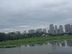 -月湖风景区