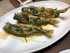 香煎小黄鱼-沙田轩(古北店)