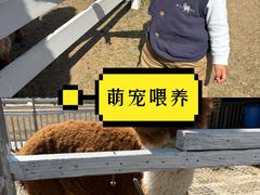 -栖露营camping·天幕烧烤·团建拓展·采摘营地