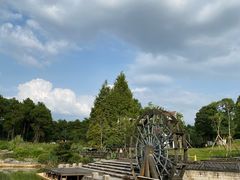 -铁山坪森林公园