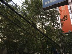 -Dr.Z dental仁康种植矫正中心