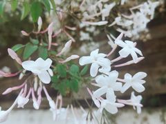 -悦哉·派对·草坪婚礼·围炉煮茶(三圣乡店)