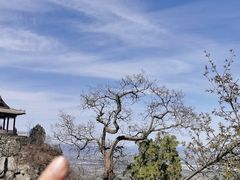 -北京鹫峰国家森林公园