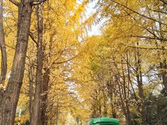 -四川大学(望江校区)