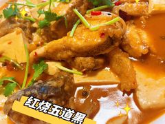 -煲来饱去冷水鱼