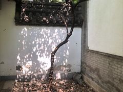-碑林公园