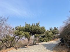 -香山公园