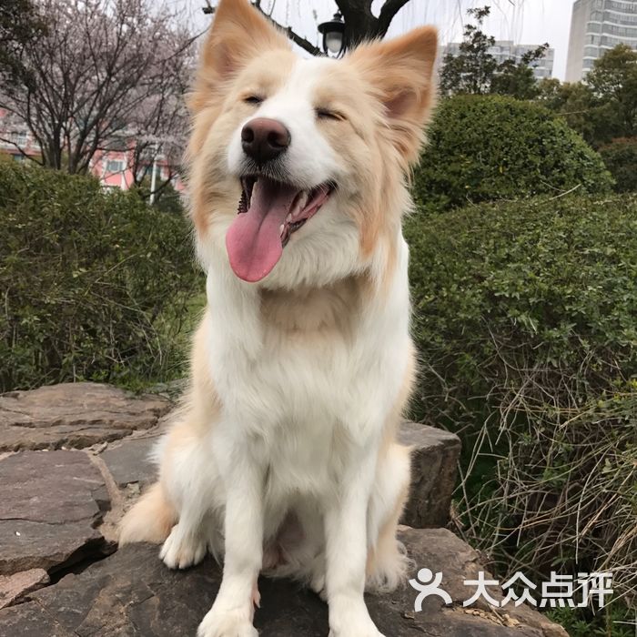 贝斯特动物医院图片-北京宠物医院-大众点评网