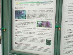 -嘉定紫藤园