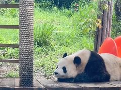 -大连森林动物园