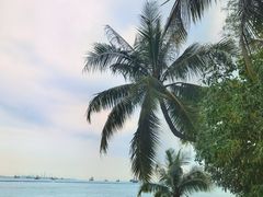 -巴拉湾海滩