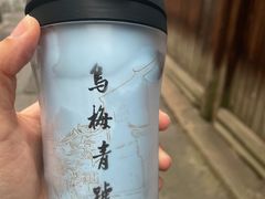 -乌镇景区