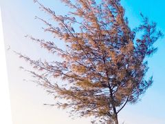 -白沙门生态公园