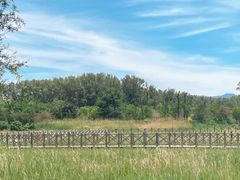 -野鸭湖国家湿地公园