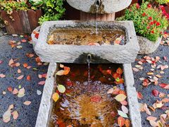 -西郊宾馆·1921餐厅