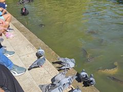 -丽池公园