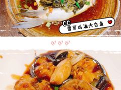 雪菜鸡油大白鱼-扬州狮子楼·非遗淮扬菜(总店)