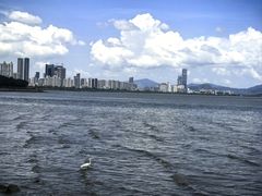 -深圳湾公园(南山区)
