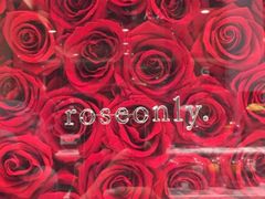 -ROSEONLY诺誓(国际广场购物中心店)