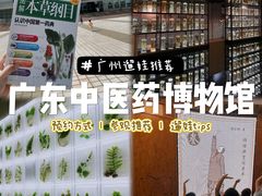 -广东中医药博物馆
