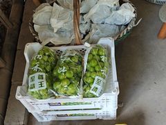 -马陆小张葡萄园农家乐