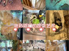 -厦门园林博览苑