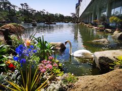 -罗红摄影艺术馆