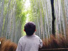 -岚山嵯峨野观光小火车