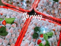 -菜园坝水果市场