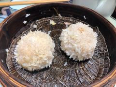 大力丸-风波庄(罍街分舵)