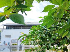 -青果巷历史文化街区