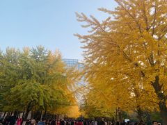 -辽宁大学(崇山校区)