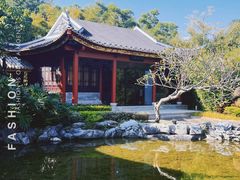 -顺峰山公园