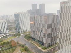 -上海漕河泾万丽酒店