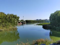 -大兴滨河森林公园