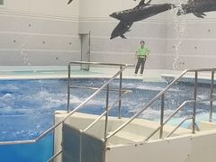 -鹿儿岛水族馆