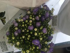 -大自然花鸟鱼虫市场