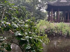 -秋霞圃