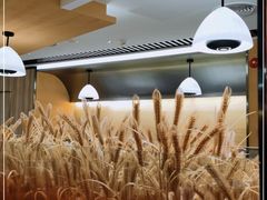 -稻香迎囍皇宫(港惠店)