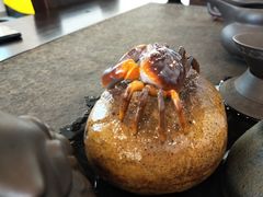 -XPEL旗舰店·汽车贴膜·隐形车衣·改色贴膜