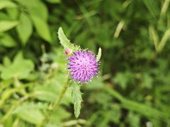 -长春市南湖公园