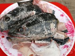 -凤凰山斑鱼馆(恭城店)