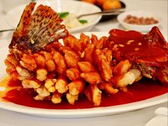 -洋洋中餐馆·SINCE 1997(龙湖星湖天街店)