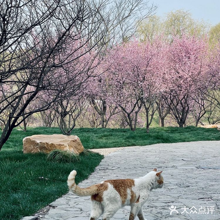 扬州瘦西湖最佳摄影机位看这里❗️❗️