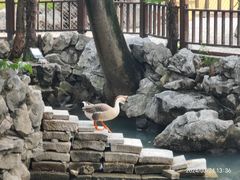 -龙华寺