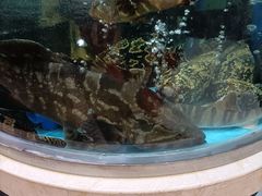-乐在集市海鲜大排档(平潭店)