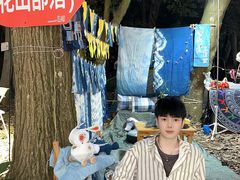 -南宁良凤江国家森林公园