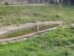 -西安秦岭野生动物园
