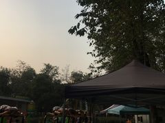 -绵阳人民公园(涪城区)
