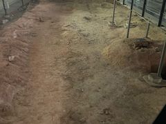 -南越王博物院(王宫展区)